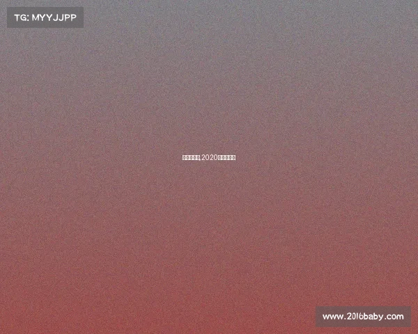 新国辩赛事,2020新国辩赛制